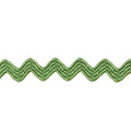 Lori Holt Vintage Ric Rac Small Trim - Riley Green 1/4" Poly Primary Image
