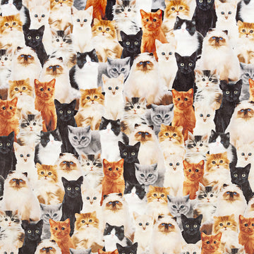 Cuddle® Prints - Here Kitty Beige Digitally Printed Yardage Primary Image