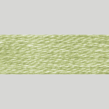 DMC Embroidery Floss - 3053 Green Gray Alternative View #1