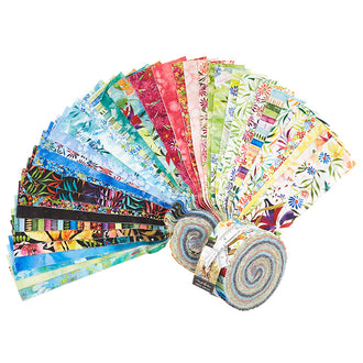 Eufloria Jelly Roll