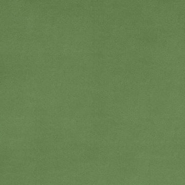 Cuddle® Solids - Basil Yardage Primary Image