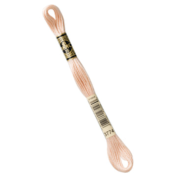 DMC Embroidery Floss - 3774 Very Light Desert Sand Primary Image
