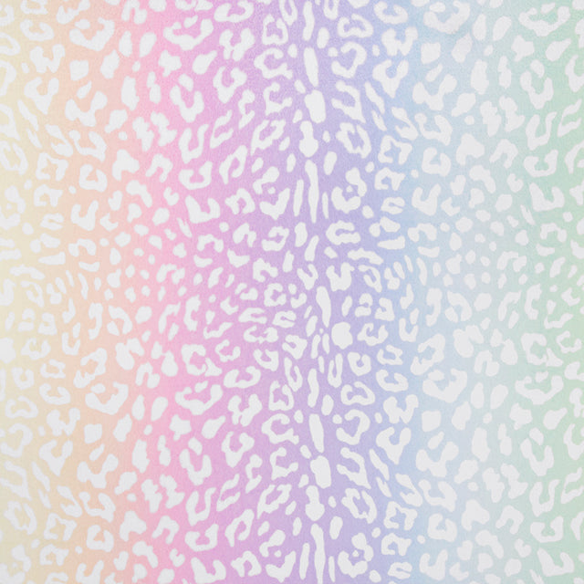 Cloud Cuddle Print - Leo Rainbow Pastel Minky Yardage Primary Image