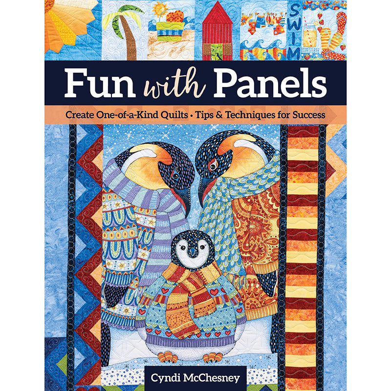 Fun with Panels Book Primary Image