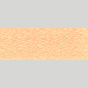 DMC Embroidery Floss - 3856 Ultra Very Light Mahogany Alternative View #1