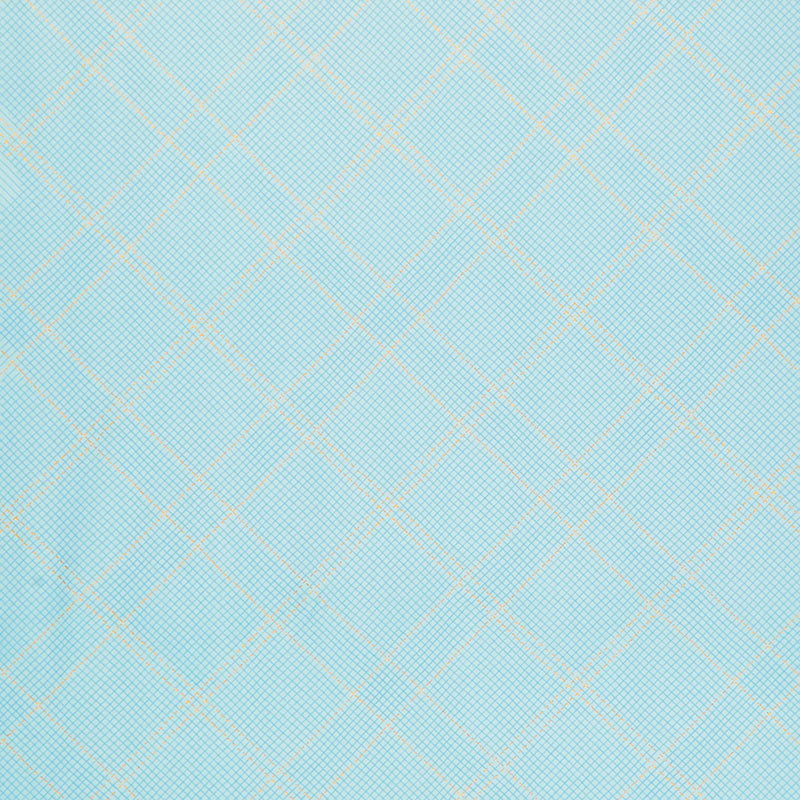 Collection CF - Blue Yardage Primary Image