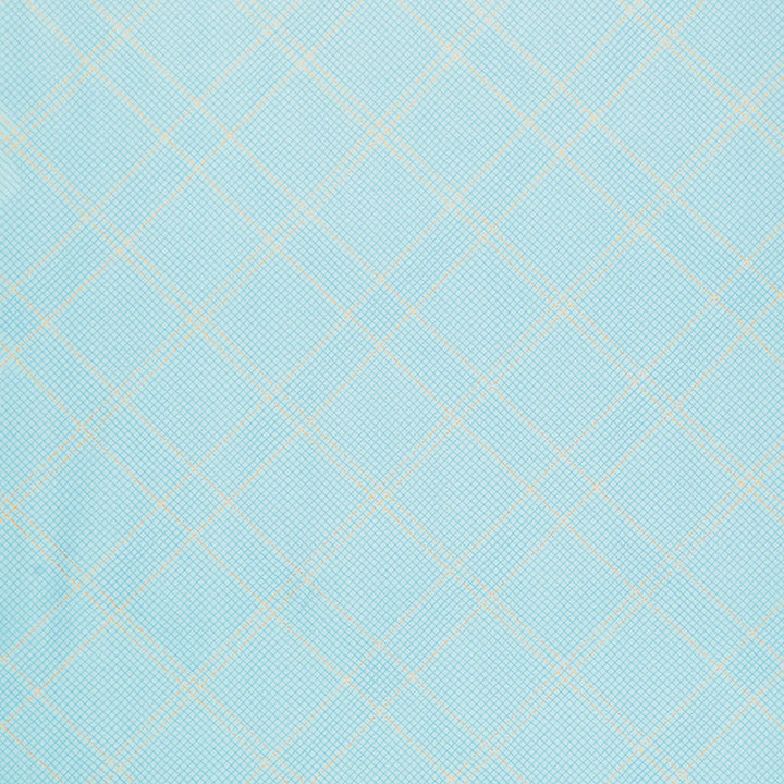 Collection CF - Blue Yardage Primary Image