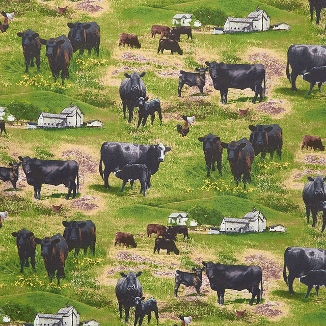 Farm - Black Angus Cows Green Yardage