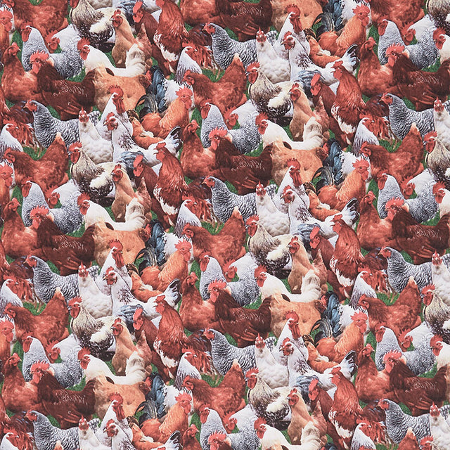 Farm - Packed Chickens Multi Yardage Primary Image