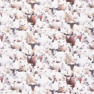 Farm - Packed Sheep Multi Yardage Primary Image