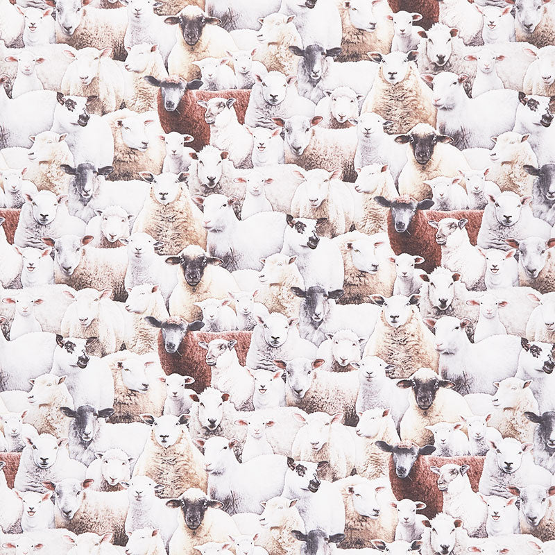 Farm - Packed Sheep Multi Yardage Primary Image