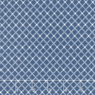 Feedsacks: Good Works - Chicken Wire Bluebird Yardage