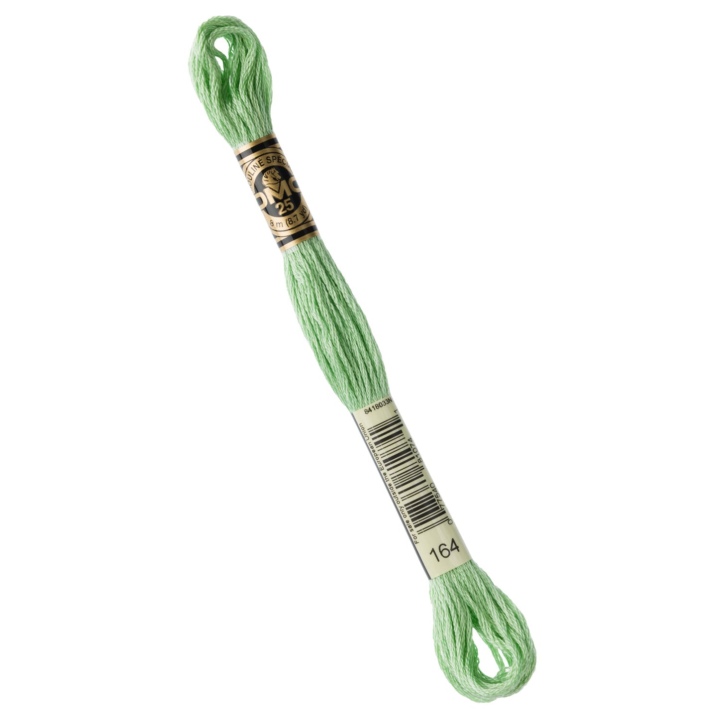 DMC Embroidery Floss - 164 Light Forest Green Primary Image