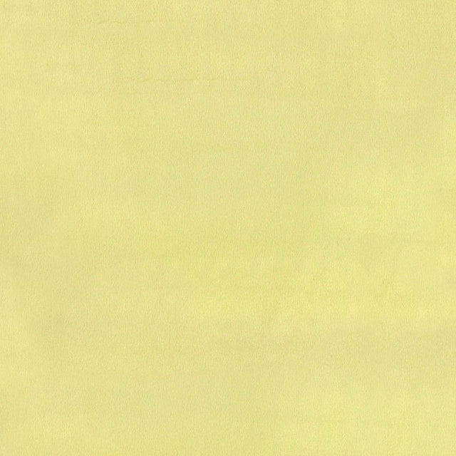 Cuddle® Solids - Yellow 60" Minky Yardage Primary Image