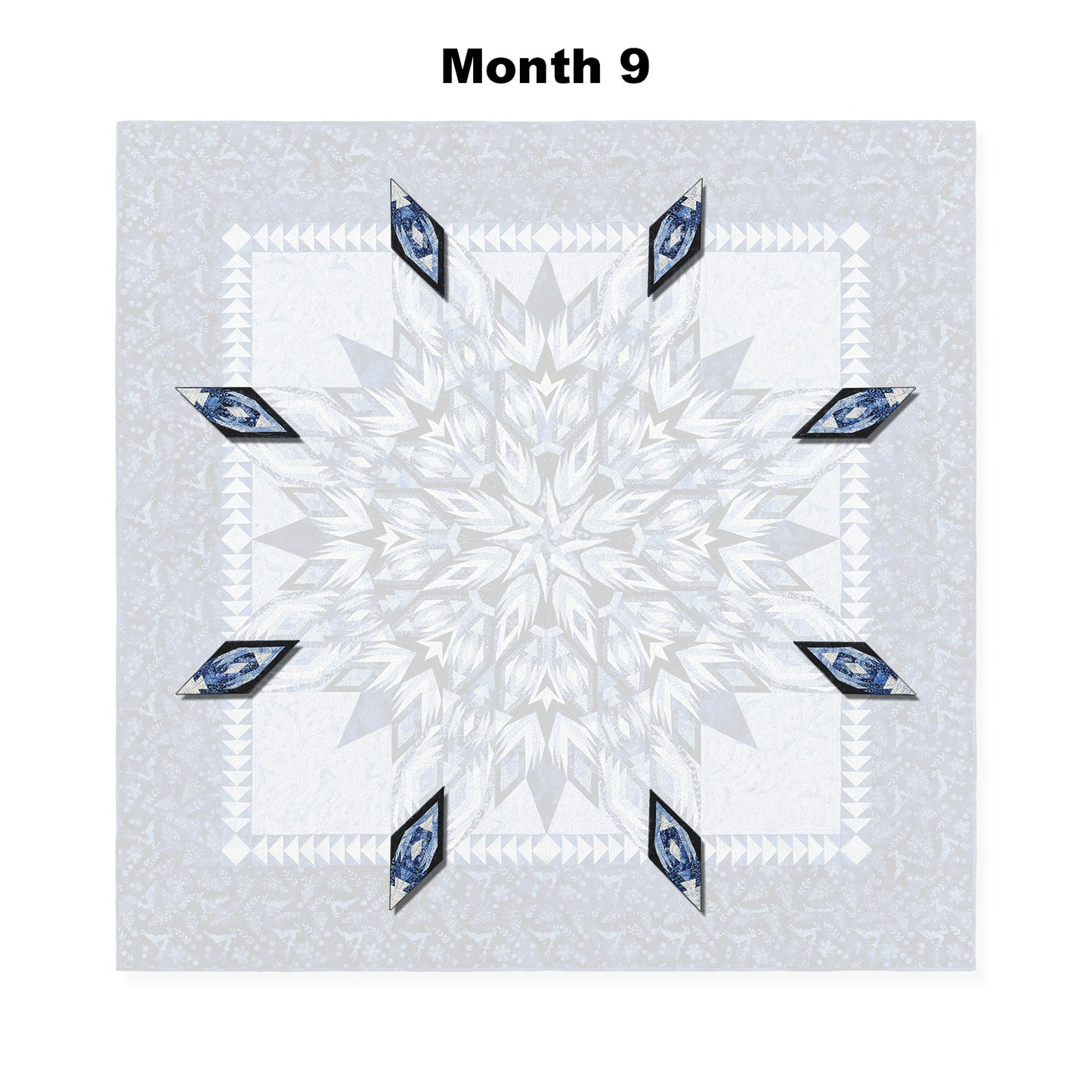 Winter's Glow Block of the Month Alternative View #10