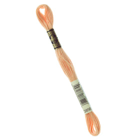 DMC Embroidery Floss - 3856 Ultra Very Light Mahogany Primary Image