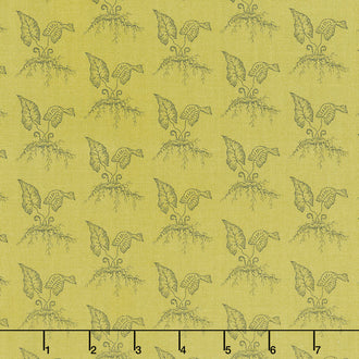 Green Thumb - Fiddleheads Thyme Yardage