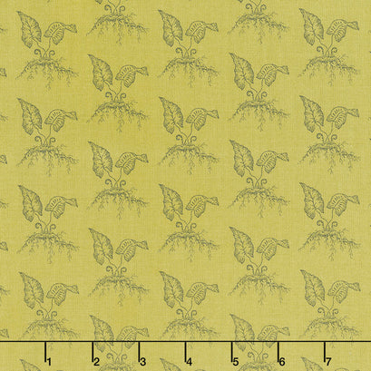 Green Thumb - Fiddleheads Thyme Yardage