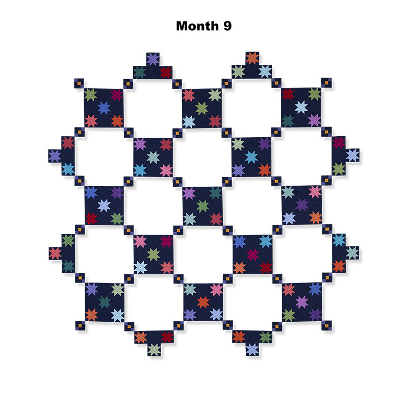 Amish with a Twist V Block of the Month Alternative View #12