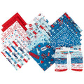 Fireworks & Freedom Fat Quarter Bundle