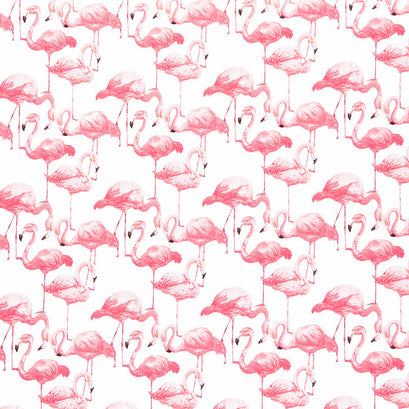 Flamingo Bay - Flamingos Spaced White Yardage