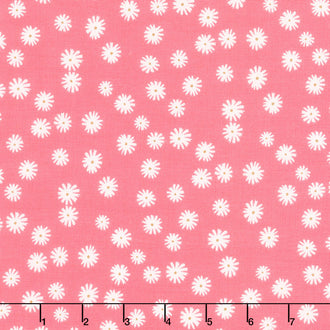 Flower Garden - Daisies Coral Yardage