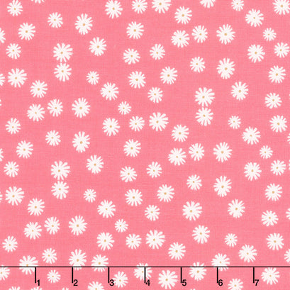 Flower Garden - Daisies Coral Yardage
