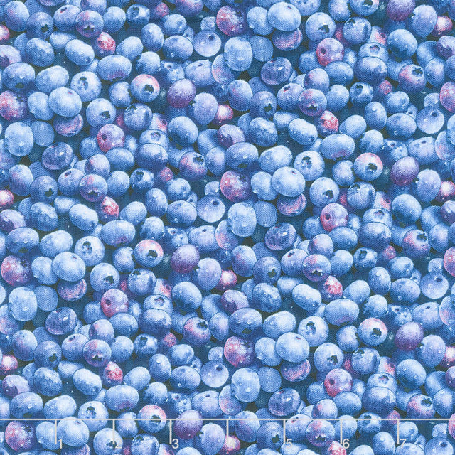 Food - Berry Good Blueberries Blue Yardage Primary Image