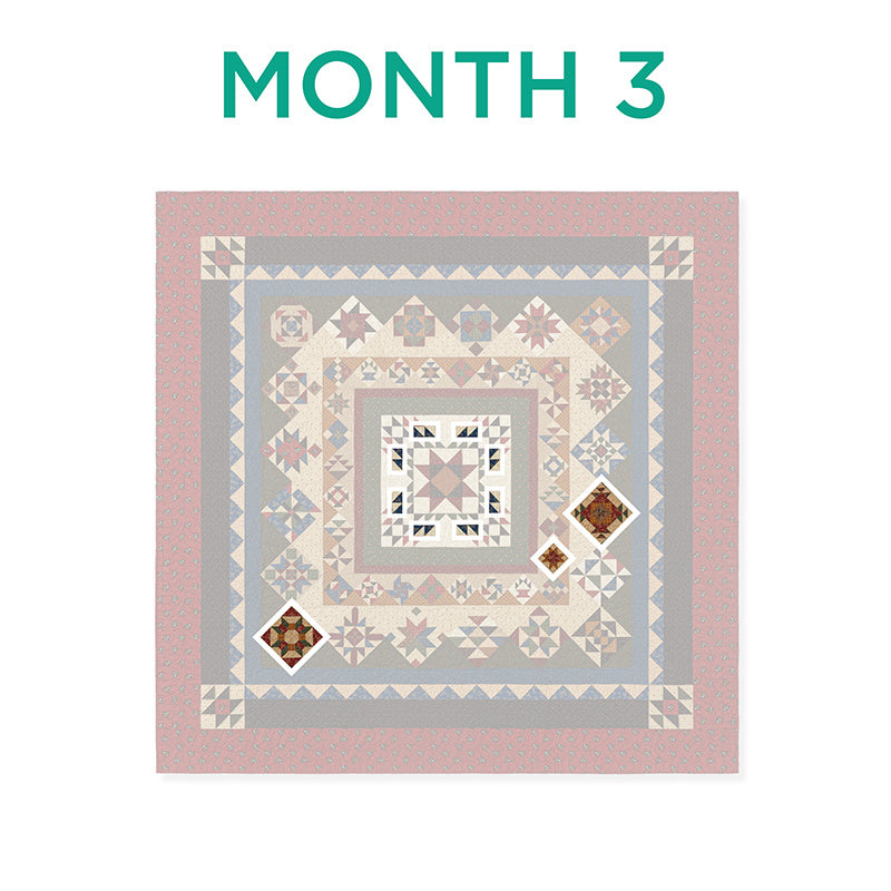 ForeverMore Block of the Month Alternative View #4