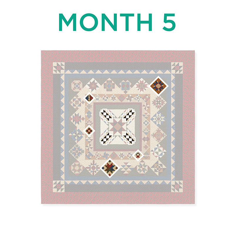 ForeverMore Block of the Month Alternative View #6