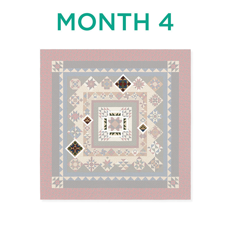ForeverMore Block of the Month Alternative View #5
