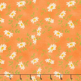 Fresh as a Daisy - Miniature Daisies Orange Yardage