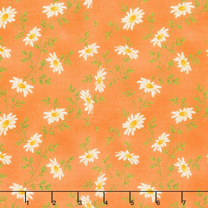 Fresh as a Daisy - Miniature Daisies Orange Yardage