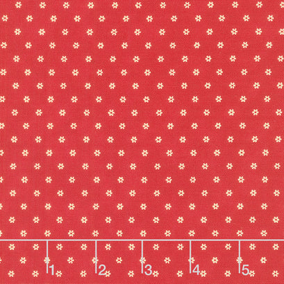 Garden Gatherings - Daisy Rose Yardage