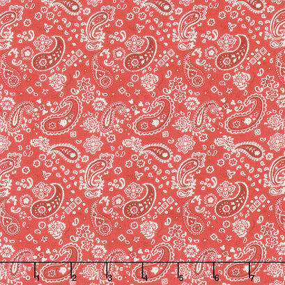 Homemade Happiness - Paisley Red Yardage