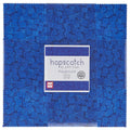 Hopscotch Playground Patty Cake