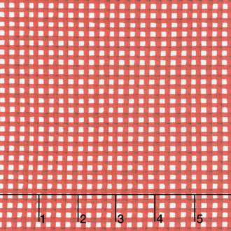 Hungry Animal Alphabet - Gingham Red Yardage