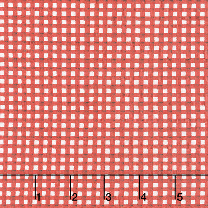 Hungry Animal Alphabet - Gingham Red Yardage