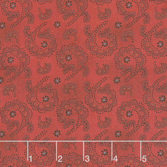Idaho Prairie Star - Stylized Swirl Red Yardage