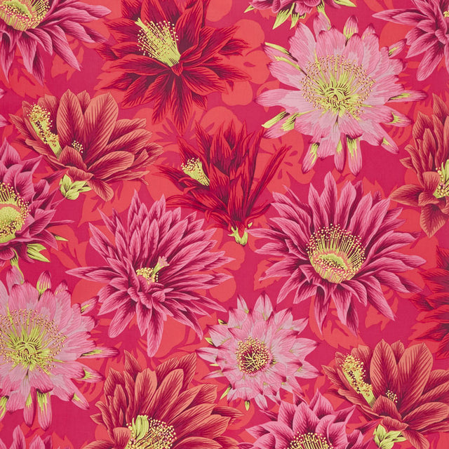 Kaffe Fassett Collective Spring 2019 - Bright Cactus Flower Red Yardage Primary Image