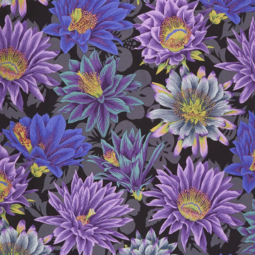 Kaffe Fassett Collective Spring 2019 - Dark Cactus Flower Black Yardage