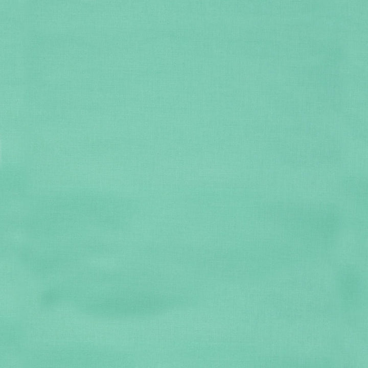 Kona Cotton - Aloe Yardage Primary Image