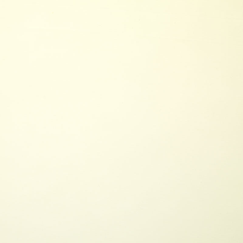 Kona Cotton - Bone 108" Wide Backing