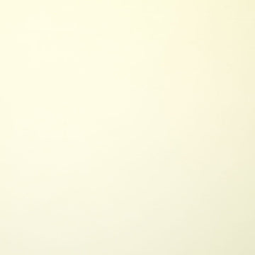 Kona Cotton - Bone 108" Wide Backing