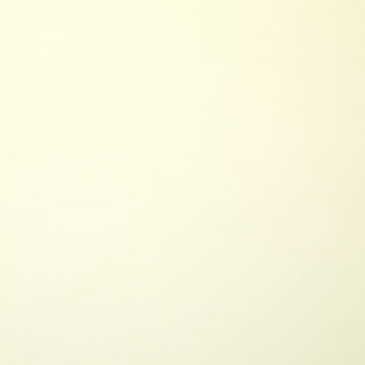 Kona Cotton - Bone 108" Wide Backing