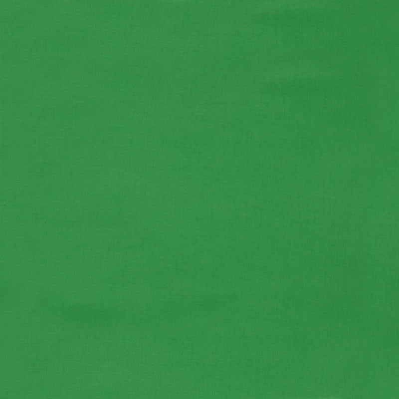 Kona Cotton - Fern Yardage Primary Image