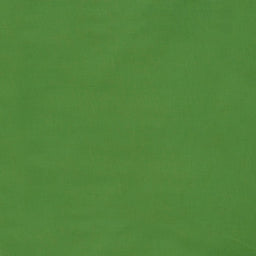 Kona Cotton - Leprechaun Yardage