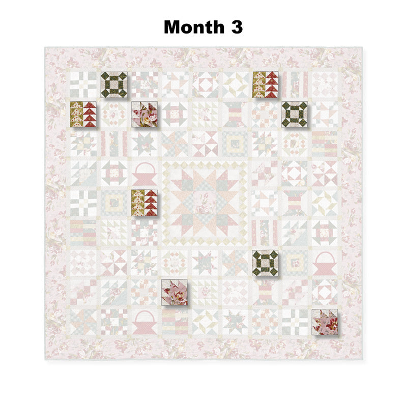 Lady Tulip Block of the Month Alternative View #4