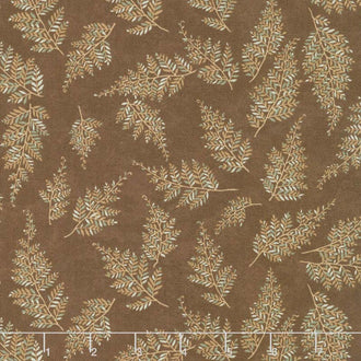 Lake Views - Ferns Brown Yardage