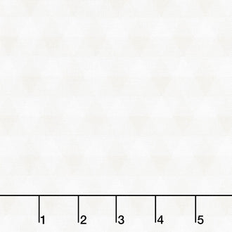 Land of Liberty - Gingham Gray Yardage